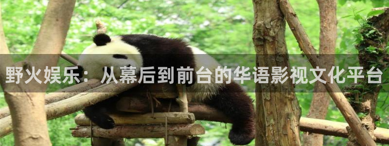 糖果派对 电玩：野火娱乐：从幕后到前台的华语影视文化平台