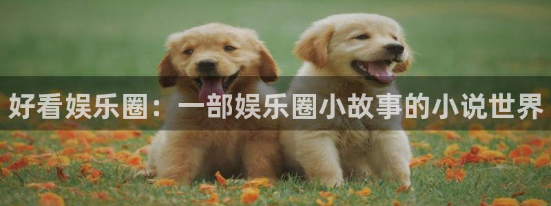 糖果派对体验版：好看娱乐圈：一部娱乐圈小故事的小说世界
