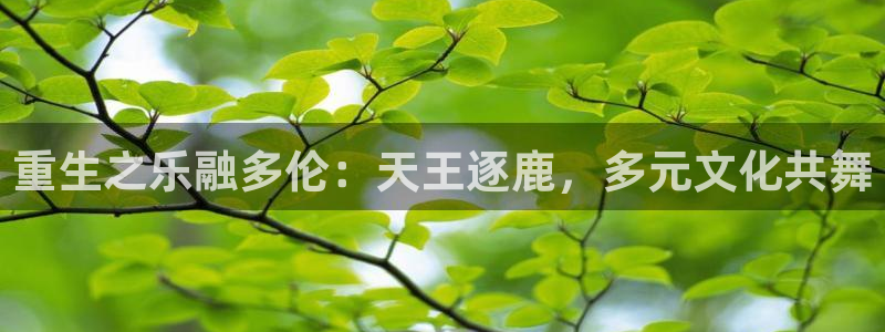 糖果派对大奖：重生之乐融多伦：天王逐鹿，多元文化共舞