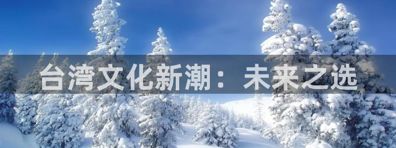电子糖果派对：台湾文化新潮：未来之选