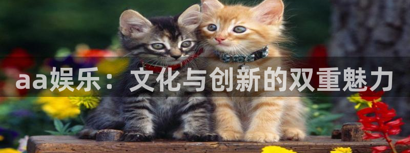 糖果派对：aa娱乐：文化与创新的双重魅力