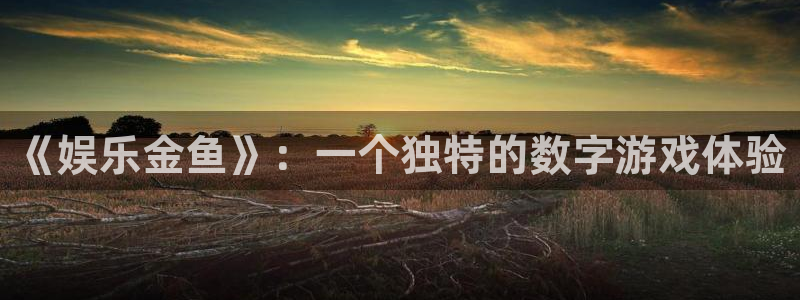 糖果派对动漫在线观看：《娱乐金鱼》：一个独特的数字游戏体验
